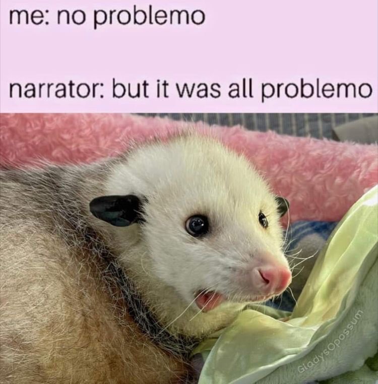 A meme of a shocked possum at the bottom of the image, with the following text above it:
Me: no problemo
Narrator: But it was all problemo